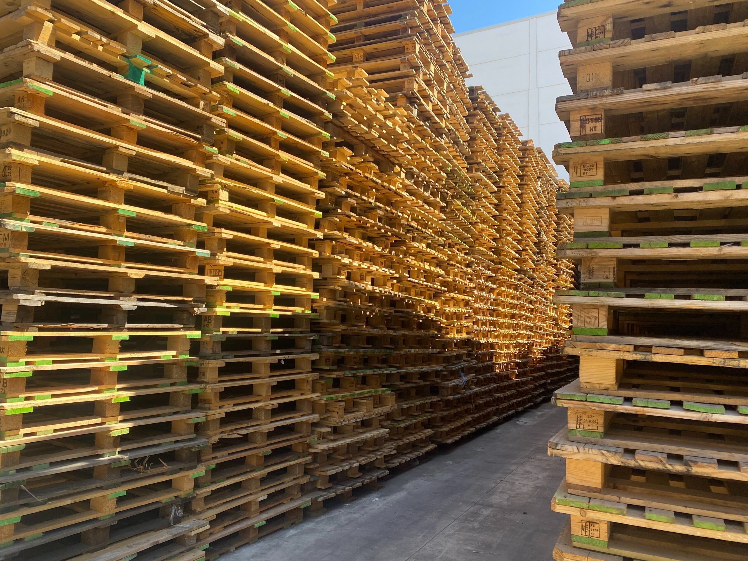 Cơ hội xuất khẩu gỗ xẻ sang thị trường Tây Ban Nha G-GX01-18E23