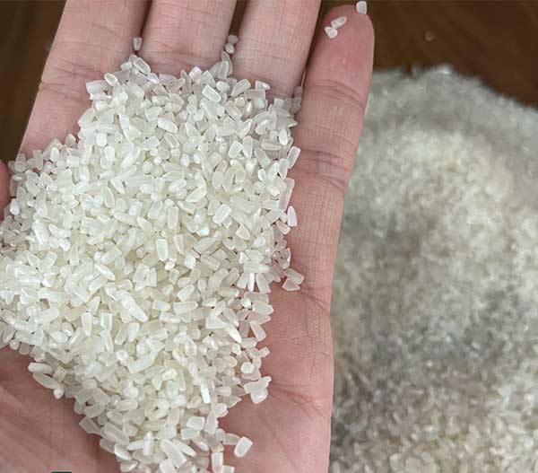 Cơ hội xuất khẩu gạo tấm sang thị trường Trung Quốc NS-G01-08E23