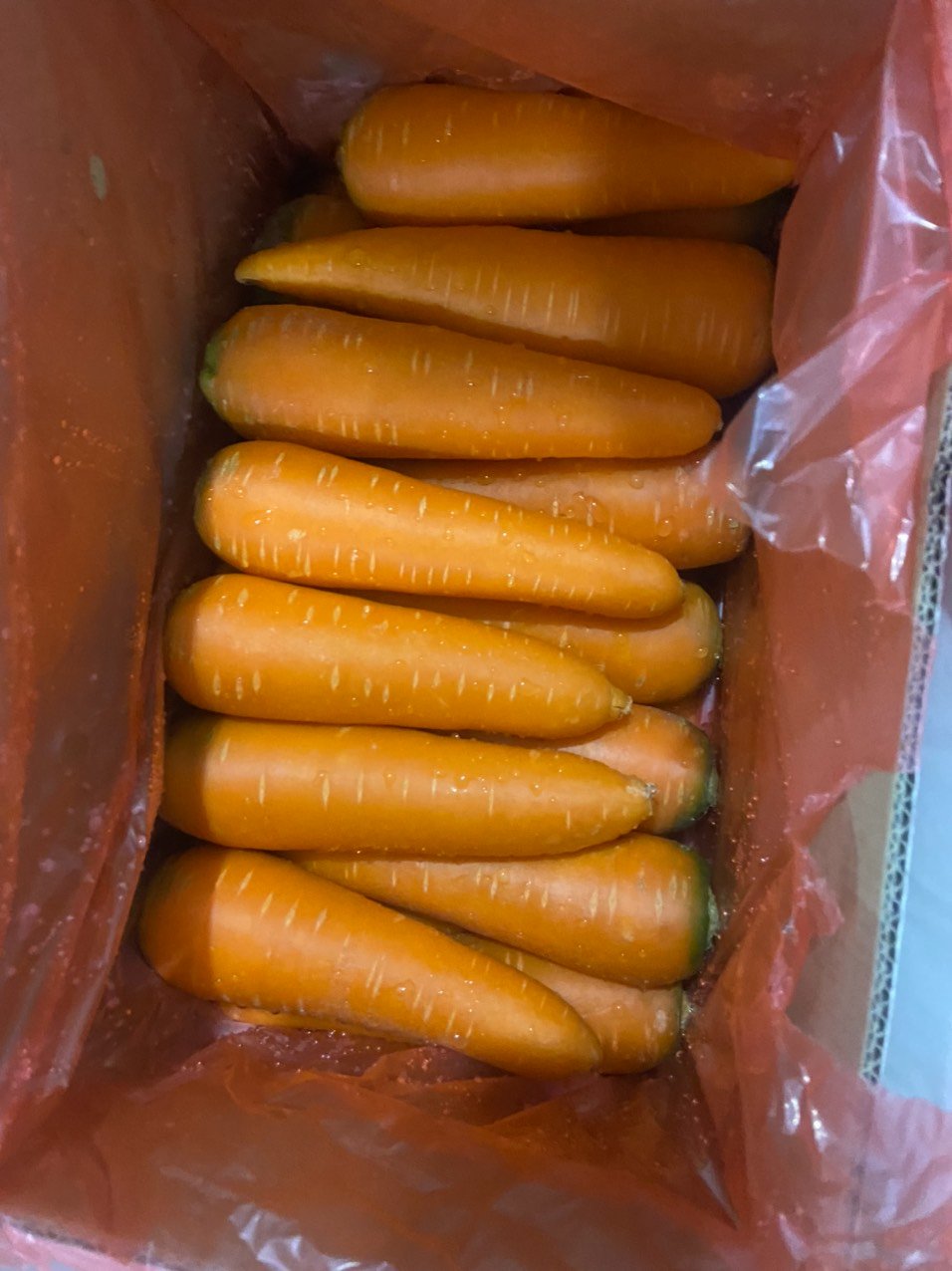 Cơ hội xuất khẩu cà rốt sang thị trường UAE NS-CR01-01F23