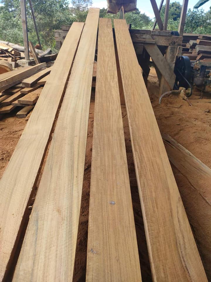 Cơ hội xuất khẩu gỗ teak sang thị trường Trung Quốc G-TX01-05F23