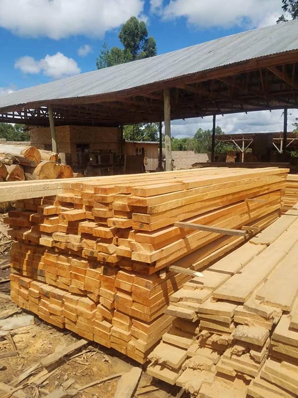 Tiềm năng xuất khẩu gỗ xẻ sang thị trường Nam Phi G-GX01-02F23