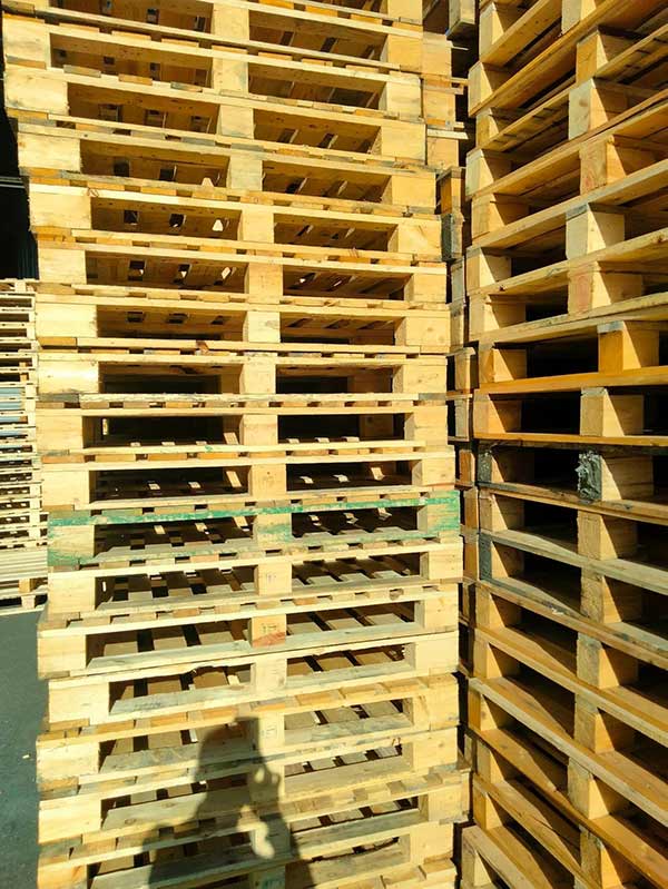 Cơ hội xuất khẩu pallet gỗ sang thị trường Anh G-PL01-01F23