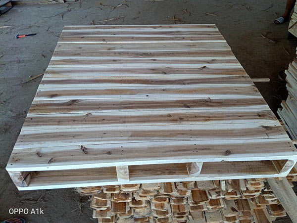 Cơ hội xuất khẩu pallet gỗ sang thị trường Úc G-PL01-09F23