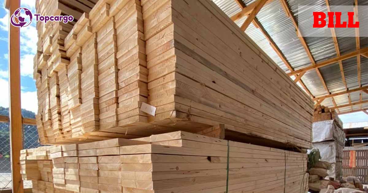 Cơ hội xuất khẩu gỗ thông xẻ sang thị trường Israel G-THX01-07F23