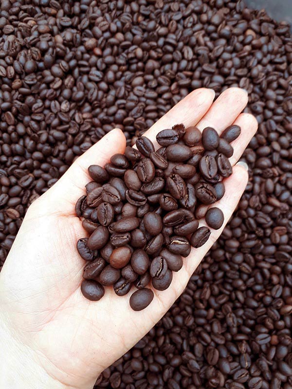 Cơ hội xuất khẩu hạt cà phê sang thị trường Sri Lanka NS-CP01-16F23