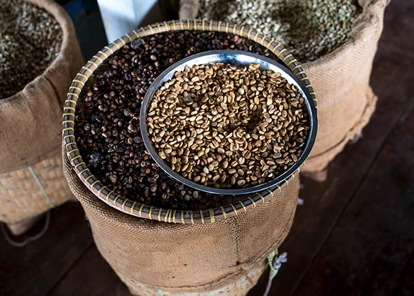 Cơ hội xuất khẩu hạt cà phê sang thị trường Sri Lanka NS-CP01-16F23