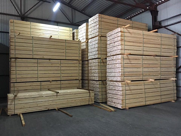 Cơ hội xuất khẩu gỗ thông xẻ sang thị trường Israel G-THX01-07F23