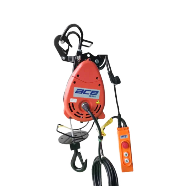 toi-dien-ac-250kg-ace-1-pha-220v-1692089721.jpg