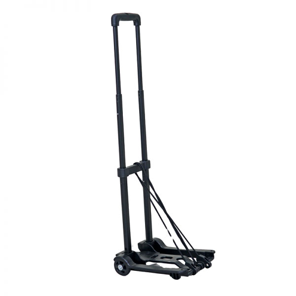 xe-day-hang-di-cho-fujihome-ht-245-new-1709625917.jpg